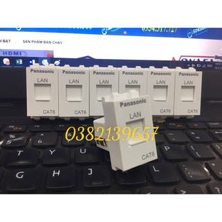 Nhân âm tường cat5, cat6 panasonic