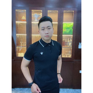 áo polo nam thương hiệu cao cấp