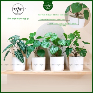 Cây giả, chậu cây giả để bàn trang trí 12 nhánh lá cao 28cm,30cm