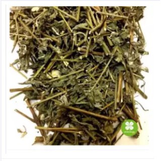 Cây cỏ xước (gói 1kg khô) - NDX018