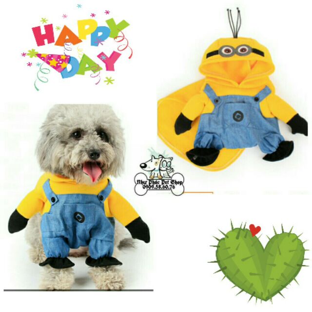 🐶🐱 Áo minion 2 chân trước cho chó mèo