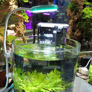 Đèn LED 3W cho bể cá, thủy sinh hình tròn
