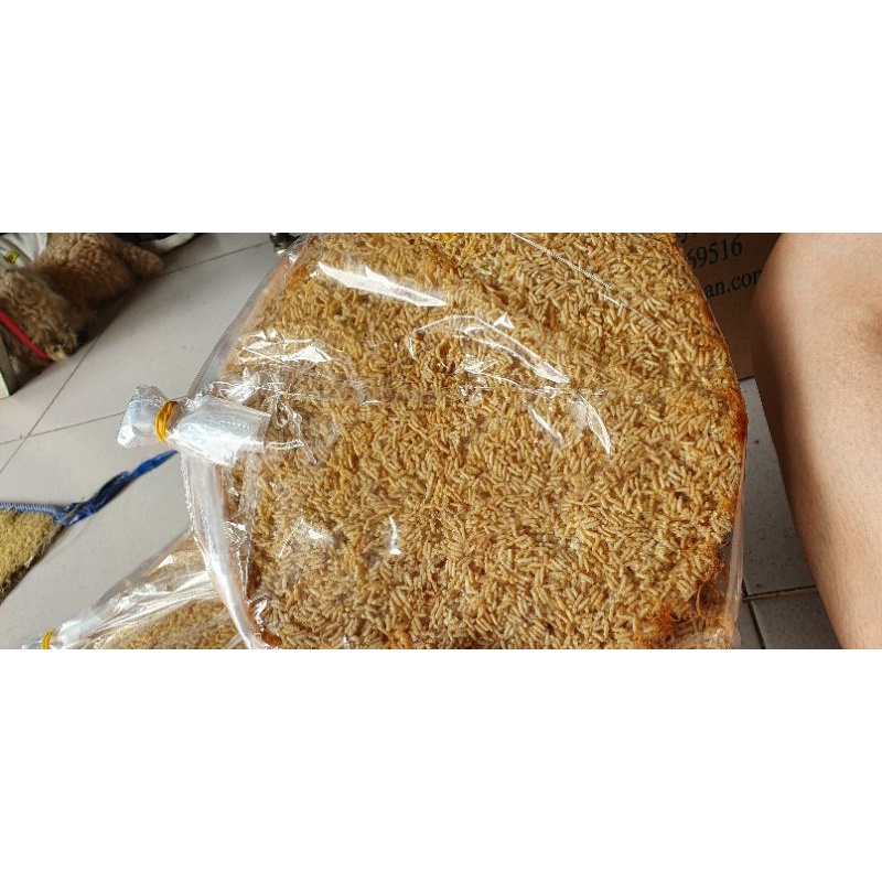 Cơm cháy đáy nồi siêu chà bông SG