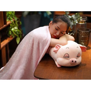 [Freeship 99k] Chăn gối 2in1 hình heo