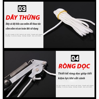 đầu kéo cắt tỉa cành chên cao