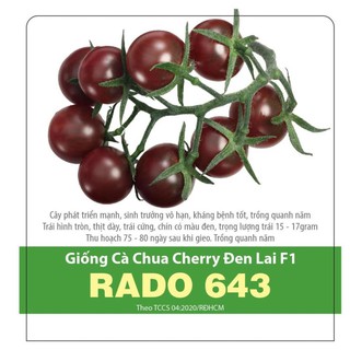 Hạt Giống Cà Chua Cherry Đen Lai F1 Sai Trái 0.1gr