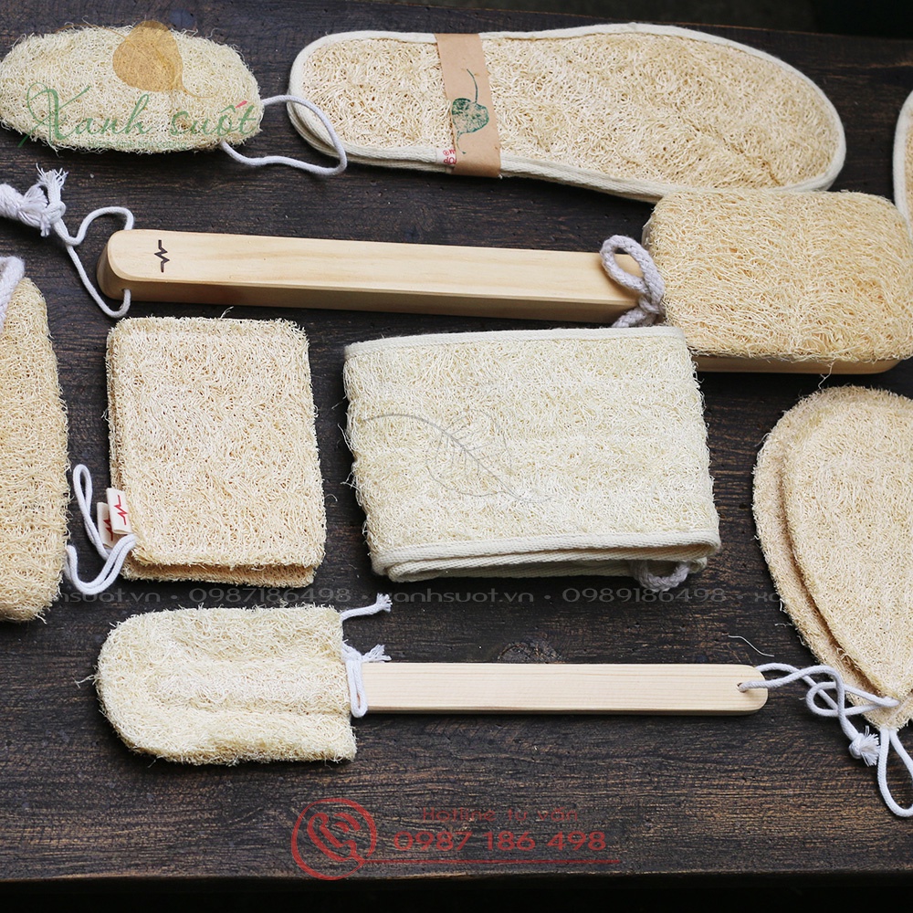 [Vi Lâm] Cây Cọ Xơ Mướp Rửa Ly Cốc Chén (Có miếng thay)- Sạch Sẽ, An Toàn- Loofah Kitchen Cleaning Brush [Xanh Suốt]