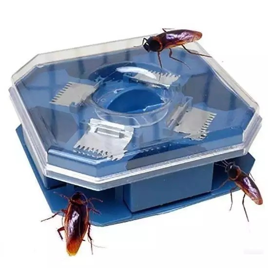 Dụng Cụ Bẫy Gián Bắt Gián Siêu Tiện Lợi Không Dùng Hóa Chất
