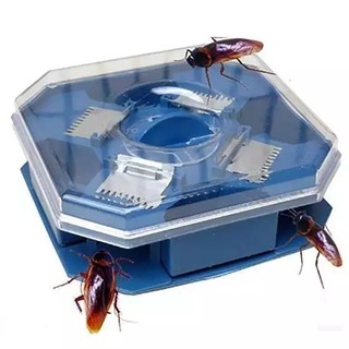 Bộ 2 dụng cụ bẫy gián bắt gián siêu tiện lợi không dùng hóa chất