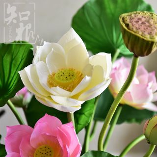 Hoa giả/sen cỡ lớn cao cấp, đài và nụ