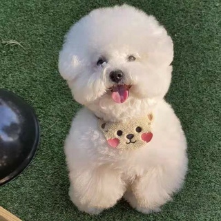 Yếm Đeo Cổ Dễ Thương Cho Chó Mèo