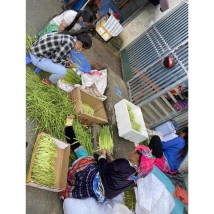 1kg Đòng đòng lúa nếp ngâm rượu