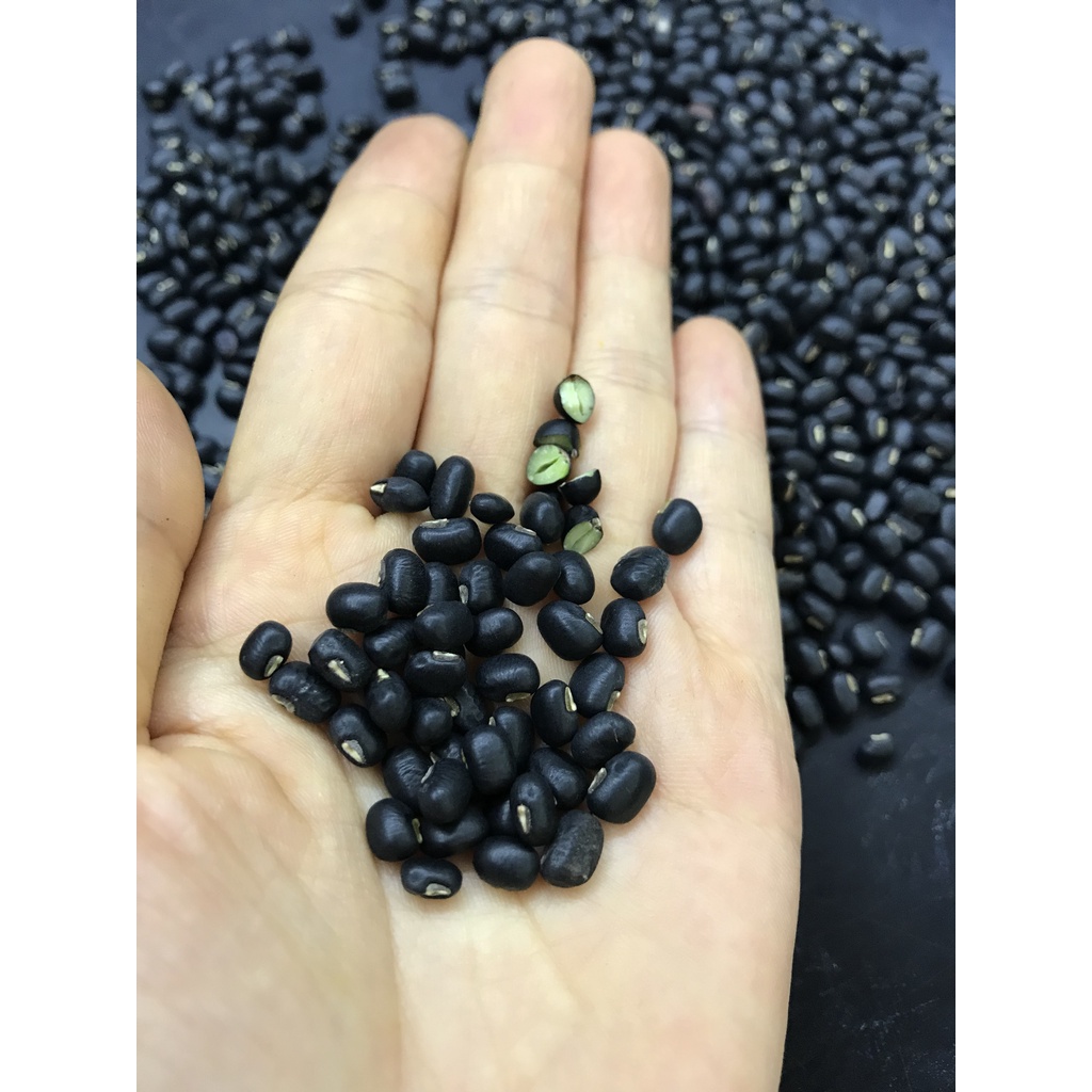 Đậu đen xanh lòng An Hòa gói 1000gr HSD 12 tháng