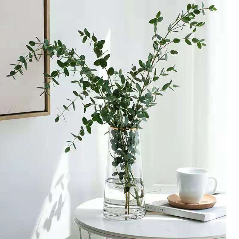 Lọ hoa thuỷ tinh Symphony trang trí phong cách Bắc Âu mạ viền miệng lọ - Daisy.decor - Hàng có sẵn