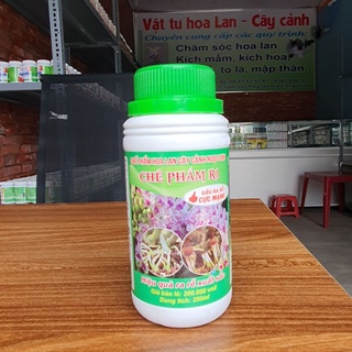 R1 Ngọc Linh.Siêu ra rễ cực mạnh.