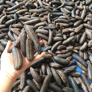 Chuối hột rừng nguyên quả tây bắc y hình 1 kg