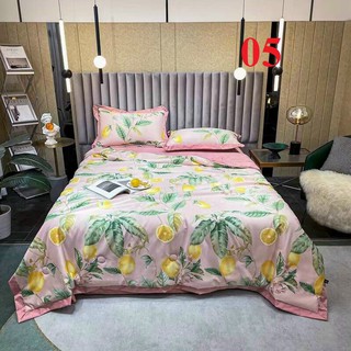 Chăn hè lụa Thái Tencel mát lạnh ( được chọn mẫu)