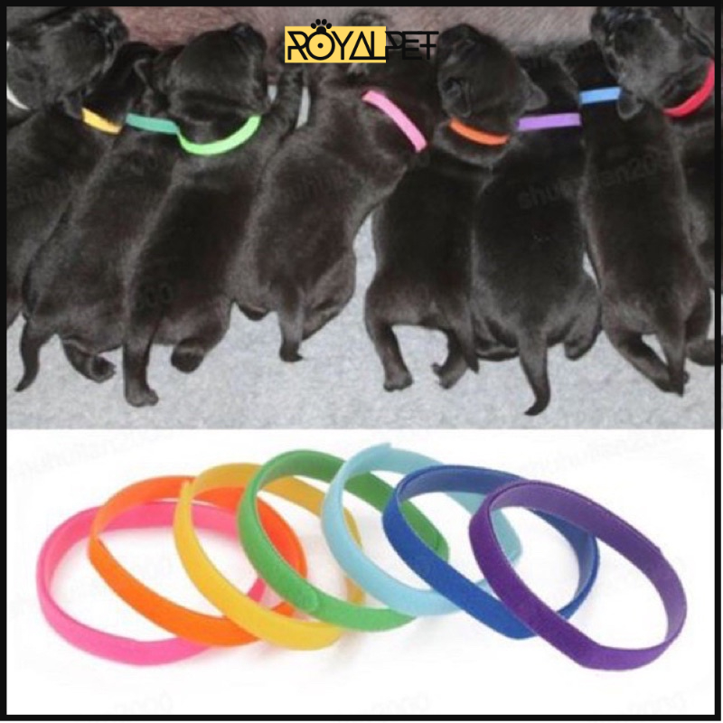 ( B003) Vòng Cổ Đánh Dấu Chó Mèo royalpet