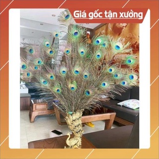Bình cắm lông công phong thủy hình chim công trang trí nhà cửa