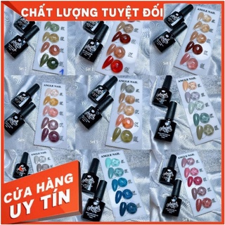Vocher(SGMT1)Sơn gel,sét sơn 5 màu hót,chai Angels tặng kèm bảng màu