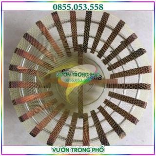 LƯỚI LÓT CHẬU TRỒNG PHONG LAN