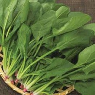 Hạt giống cải bó xôi