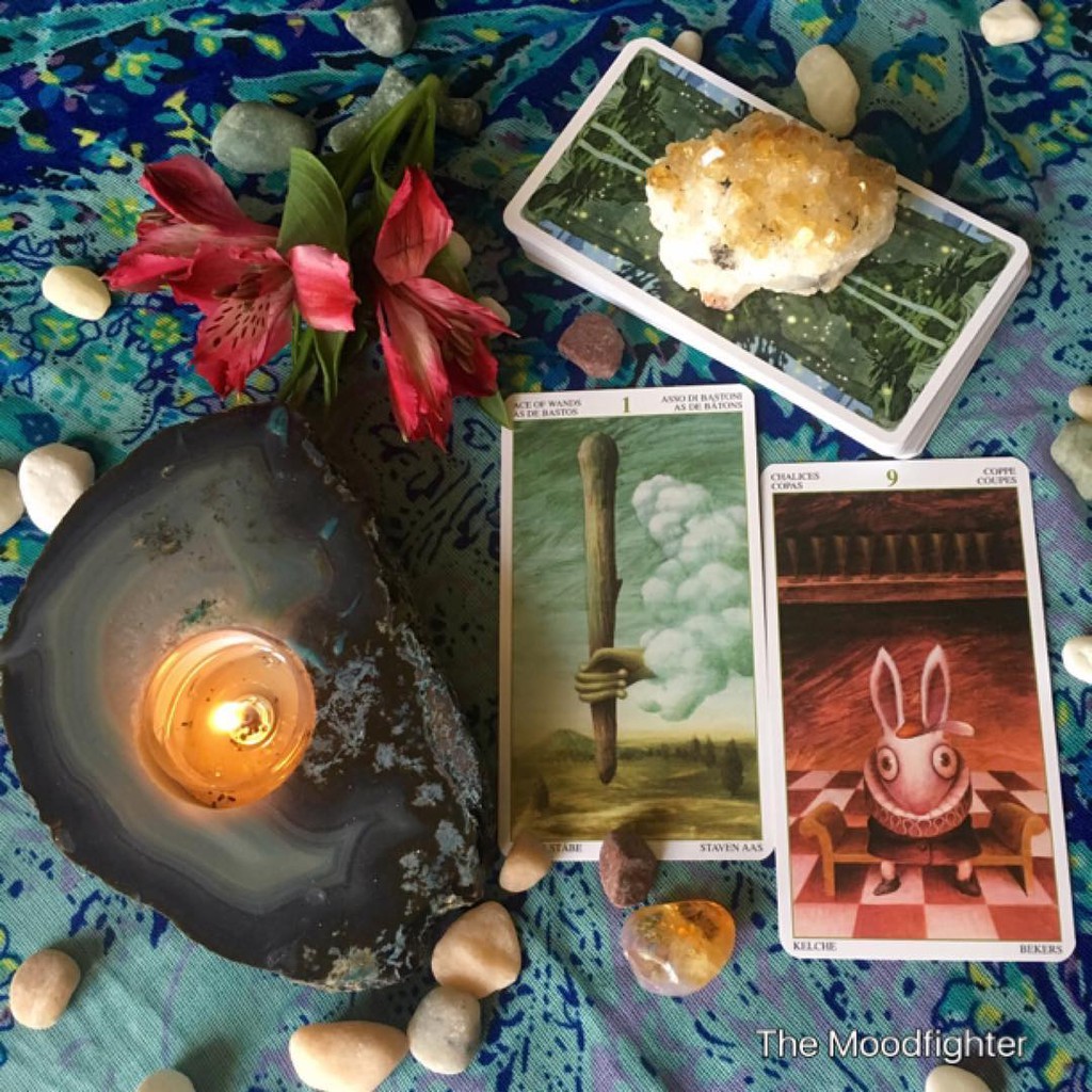Bài Tarot of the Magical Forest