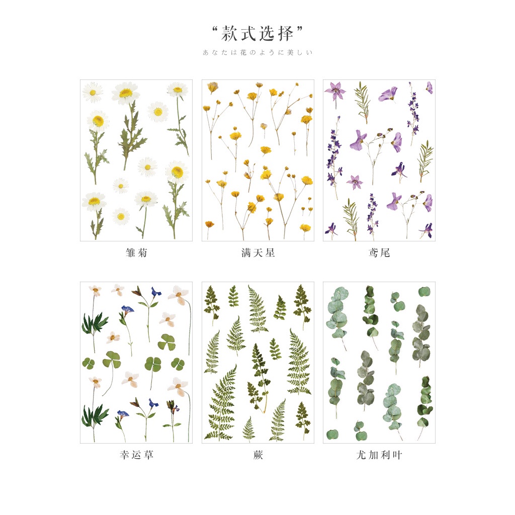 Miếng Dán Trang Trí Sổ Tay/ Album Ảnh In Hình Hoa Cúc/ Bạch Đàn Độc Đáo DIY