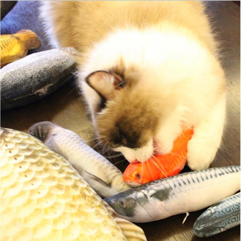 ĐỒ CHƠI CHO MÈO MÈO, CÁ NHỒI BÔNG 3D - LOVE PETS SHOP