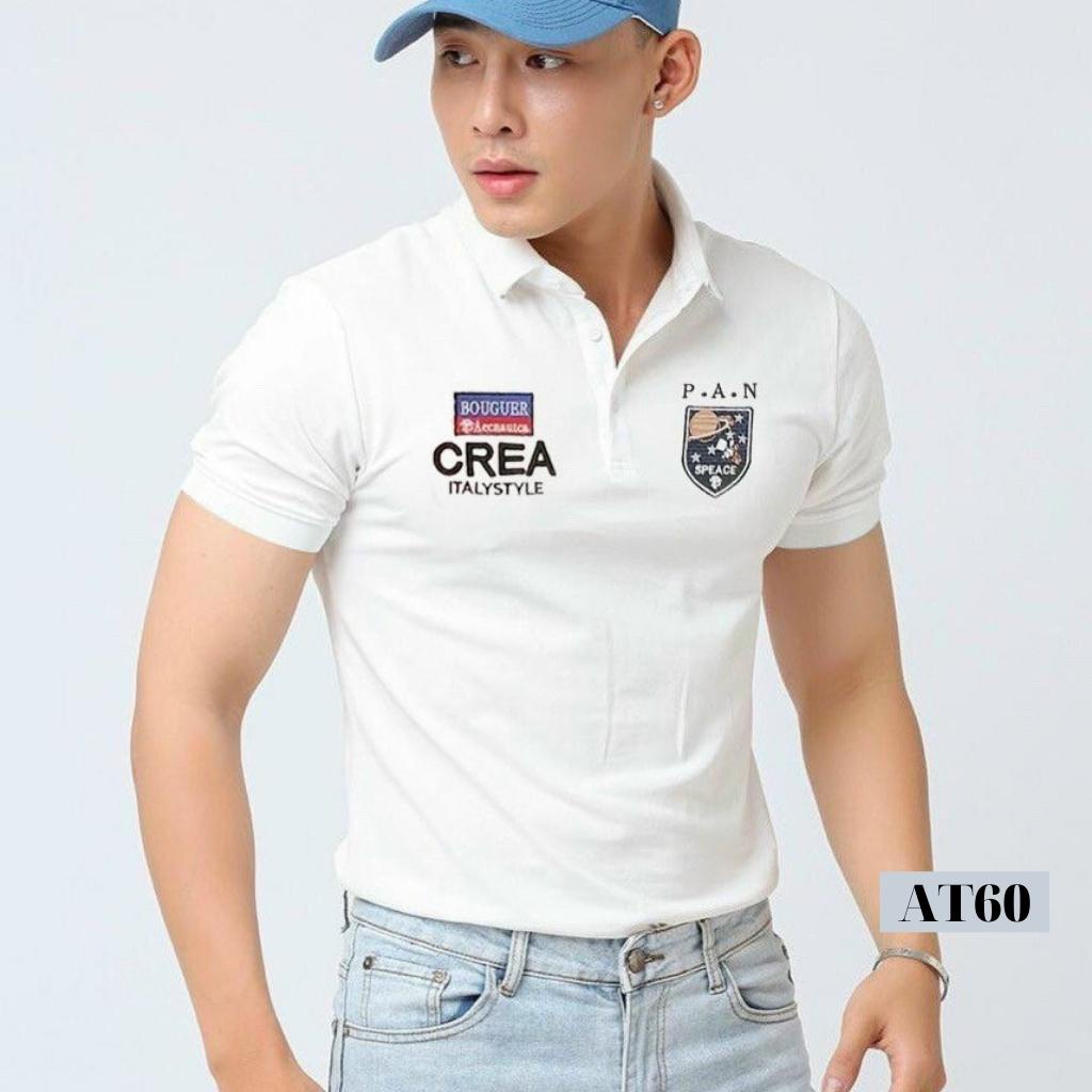 Áo phông nam có cổ thun tay ngắn chất cotton cao cấp co giãn 4 chiều đẹp họa tiết kiểu AT60 - TENJI4