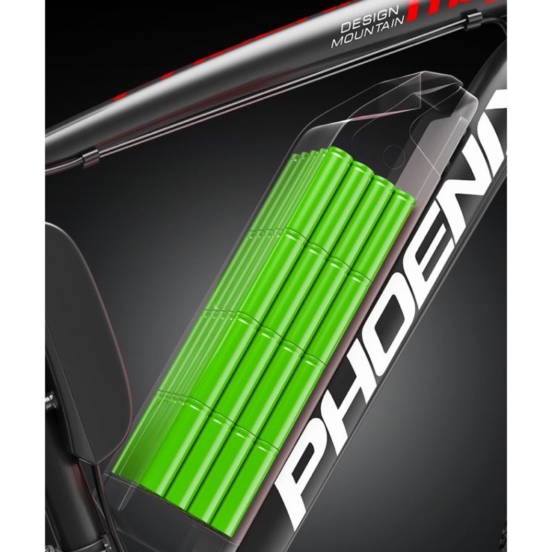 Xe đạp  điện  thể thao phoenix