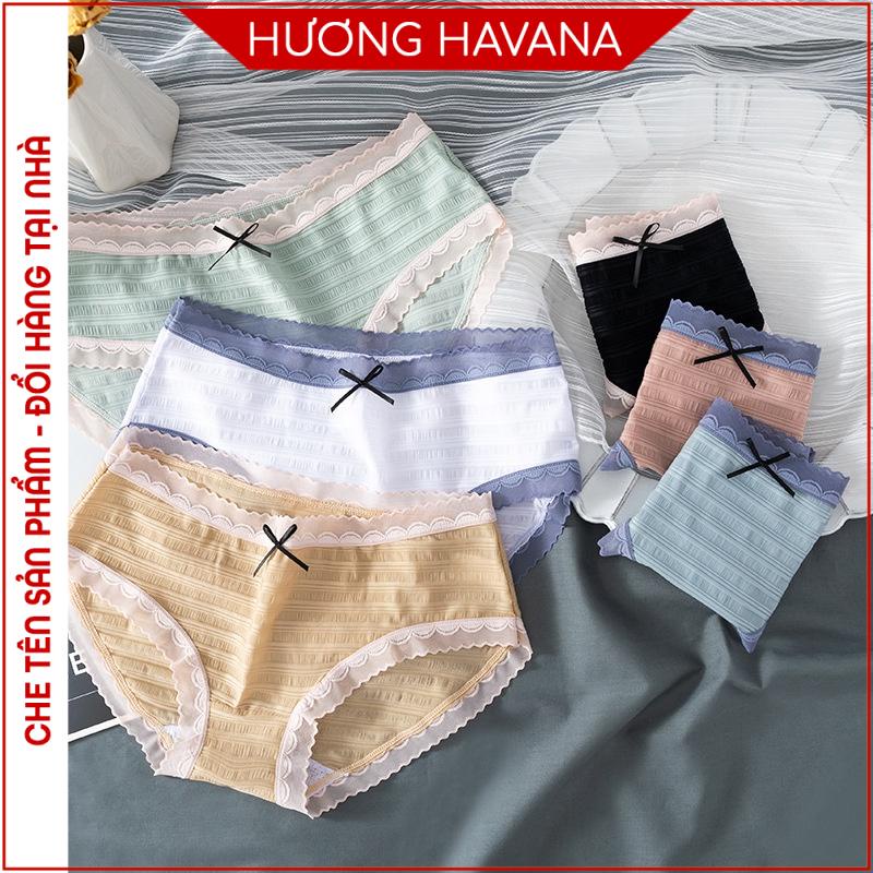 Quần lót nữ Freesize ren tơ siêu giãn cao cấp Havana FLQ134