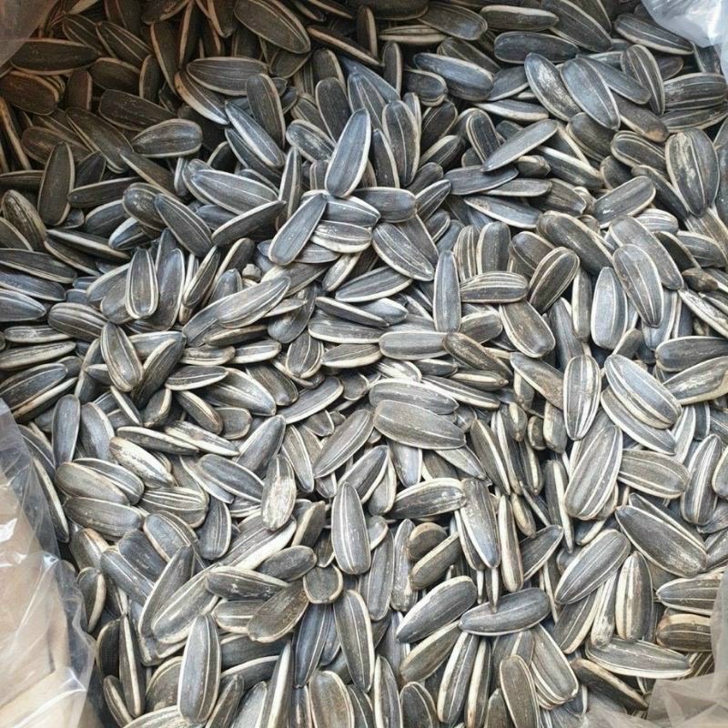 500g Hạt Hướng Dương Duy Ký Loại 1 [FREE SHIP] TỪ ĐƠN 50K, [Loại Đặc Biệt] Hàng ngon nhà làm