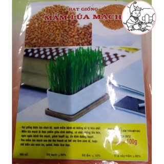 HẠT MẦM LÚA MẠCH - GÓI 100 GRAM