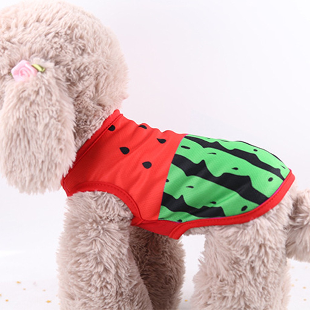 Áo Lưới Họa Tiết Hoạt Hình Cho Thú Cưng