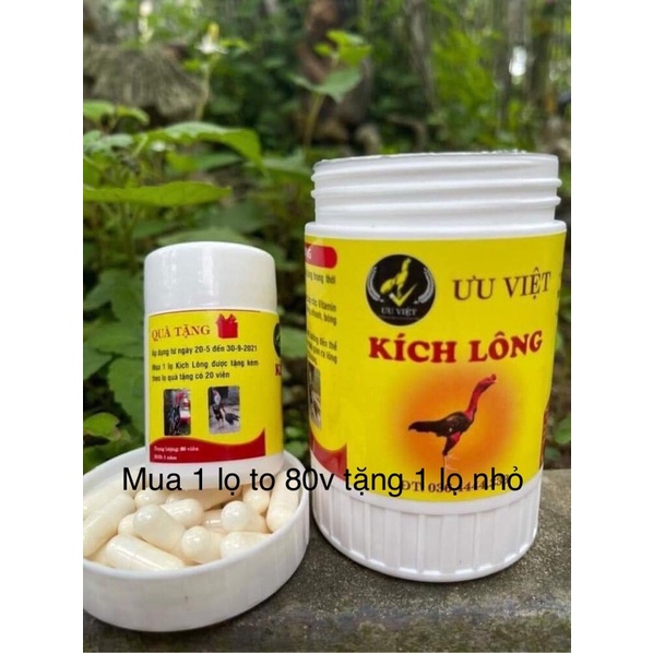 [Mã 159FMCGSALE giảm 8% đơn 500K] kich long ưu việt Thuốc ra lông nhanh cho gà chọi gà đá 80 viên