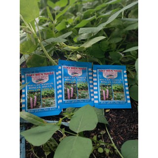 Phân bón lá tảo biển nhật mát cây, xanh lá, bóng lá, dầy lá 10ml