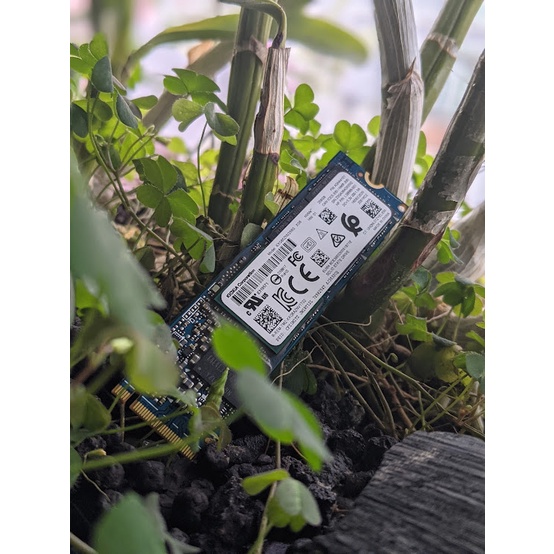 Ổ cứng SSD M2 PCIe NVMe Kioxia XG6 256GB | BigBuy360 - bigbuy360.vn