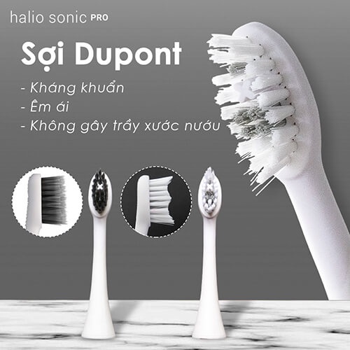 [Mã COSLXT5 giảm 10% đơn 600K] Combo Bàn chải điện Halio Sonic Whitening Toothbrush - White và 2 Đầu bàn chải thay thế