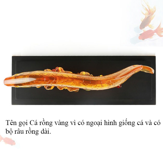 Tượng nhựa giả đá phong thủy Cá rồng may mắn trang trí văn phòng làm việc, phòng khách sang trọng CR4325