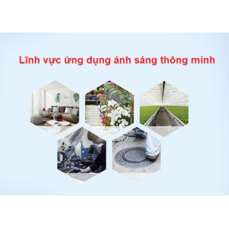 Cảm biến ánh sáng Zigbee Tuya/ Smart Life