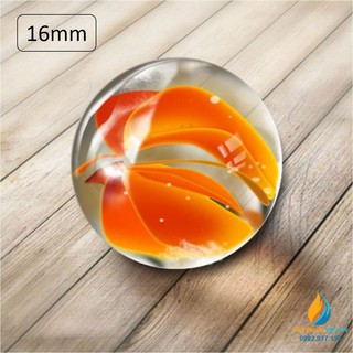 Viên bi thủy tinh đường kính 16mm, viên bi cho học sinh tiểu học thực hành ngoại khóa