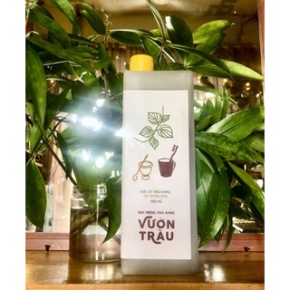 Súc miệng Chà Răng Vườn Trầu | Vietherb