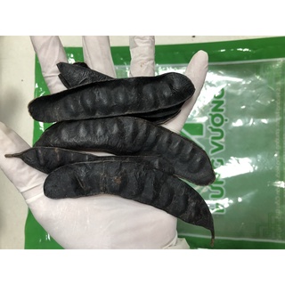  100gr Tạo Giáp (Bồ Kết)