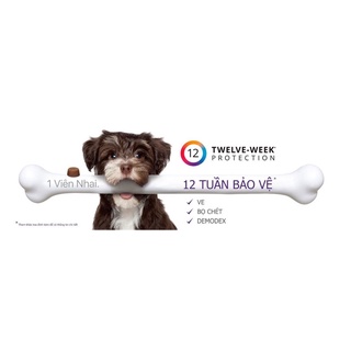BRAVECTO cho cún