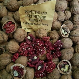 Nhân hạt óc chó đỏ Mỹ