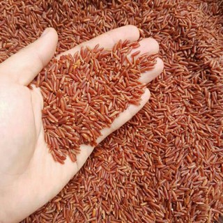 4kg Gạo Lứt Huyết Rồng Loại Ngon gạo