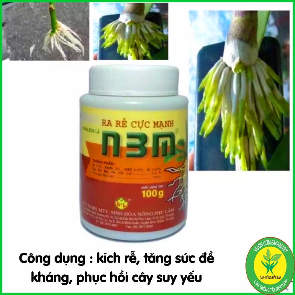 Thuốc Kích Rễ N3M- ra rễ cực mạnh n3m chai 100g