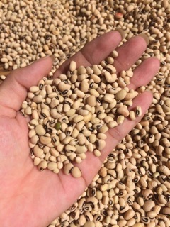 Bột ngũ cốc 7 loại hạt