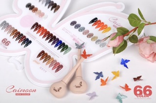 SƠN GEL CAIMOON 66 MÀU